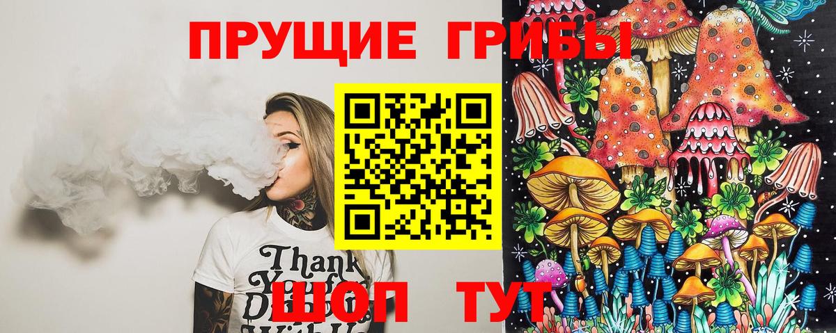 Галлюциногенные грибы Psilocybe Вышний Волочёк