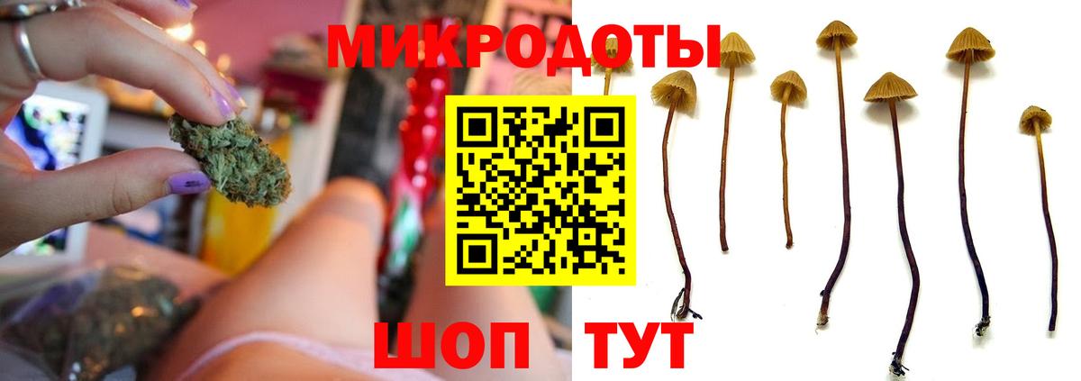 Псилоцибиновые грибы Psilocybe  Вход с VPN  Вышний Волочёк  Галлюциногенные грибы Magic Shrooms 