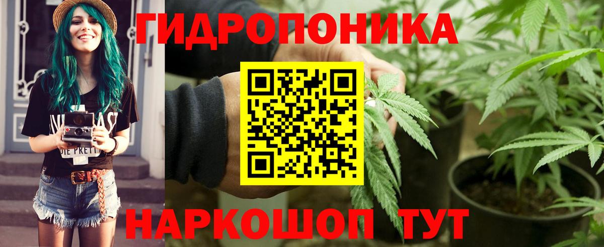 Вышний Волочёк  МАРИХУАНА семена  Каннабис SATIVA & INDICA  Бошки марихуана конопля  Вход с VPN 